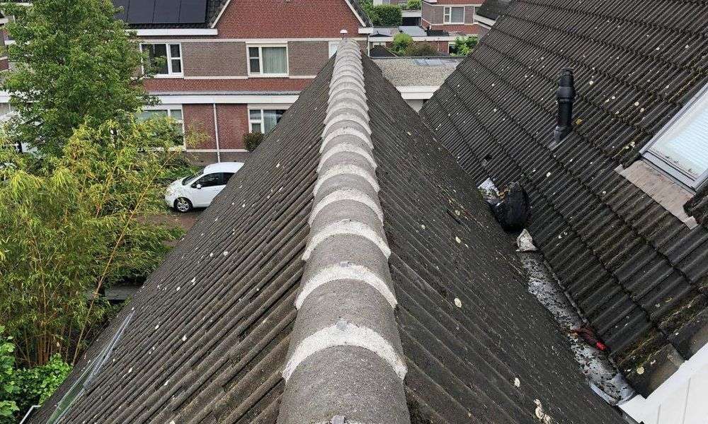 Repareren van nokvorsten in Lunteren